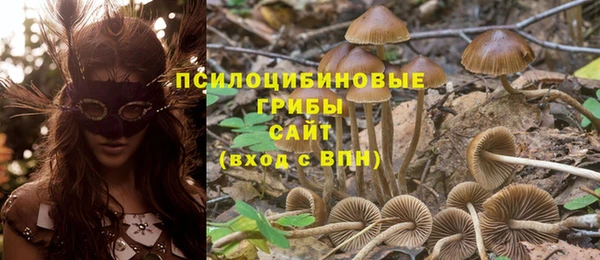 прущий лед Дмитров